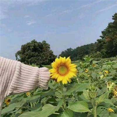 茅山志手游下载