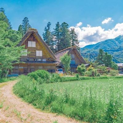 葫芦侠4楼破解版游戏修改器下载