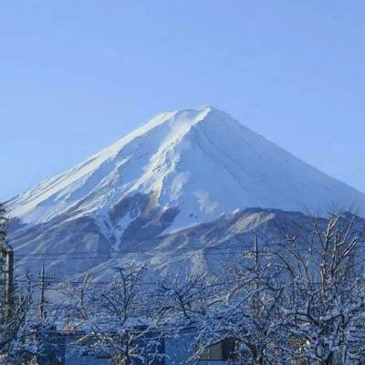山海寻仙记手游(暂未上线)v1.0 安卓版